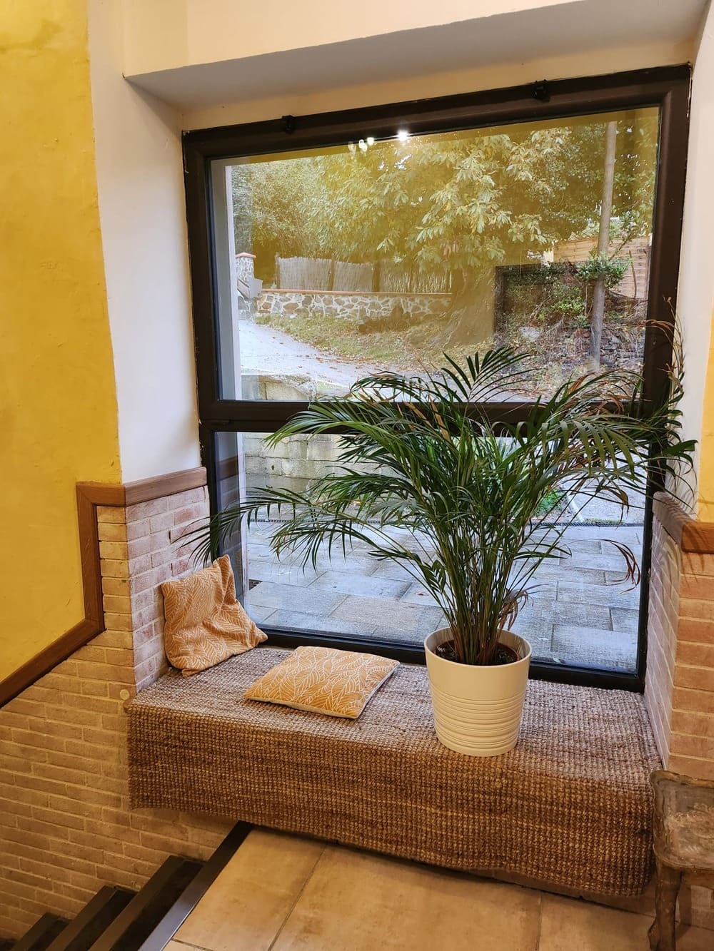 Plante en pot et coussins sur un rebord de fen&ecirc;tre int&eacute;rieur avec vue sur jardin.